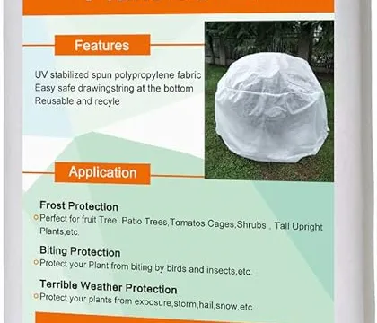 The Plastic Bag Will Kill Your Plants — And Other Row Cover Lessons
