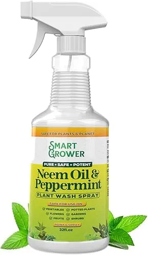 Most 'Neem Oil' Sprays Are a Waste of Money. Here's What to Buy Instead.