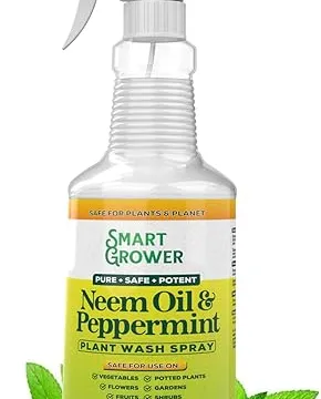 Most 'Neem Oil' Sprays Are a Waste of Money. Here's What to Buy Instead.