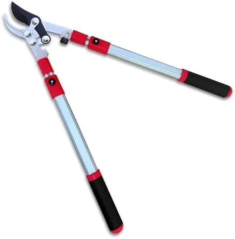 Which Pruning Loppers Do You Actually Need? Answer 3 Questions First.