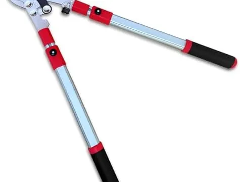 Which Pruning Loppers Do You Actually Need? Answer 3 Questions First.