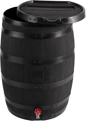 Before You Buy a Rain Barrel, Answer These 4 Questions