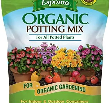 Raised Bed Soil: Answer These 3 Questions Before You Buy a Single Bag